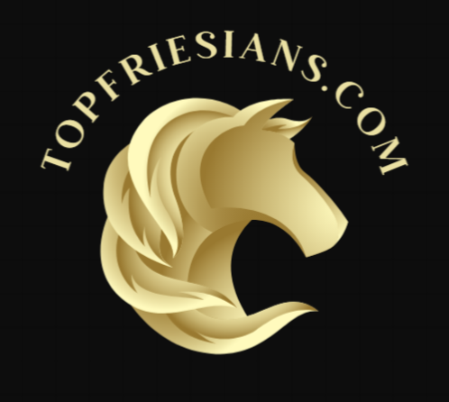 friesian horse