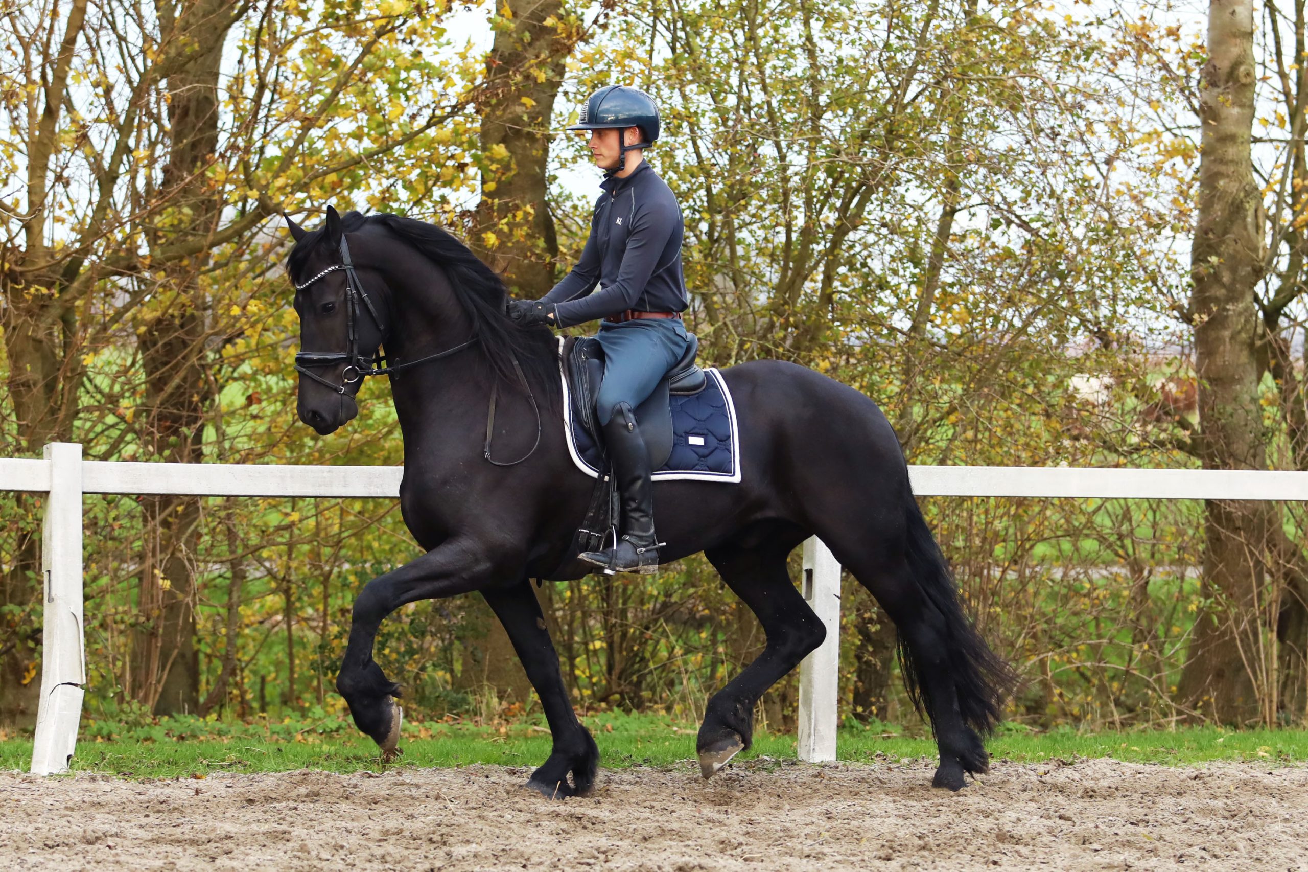 Hitzer - Image 11