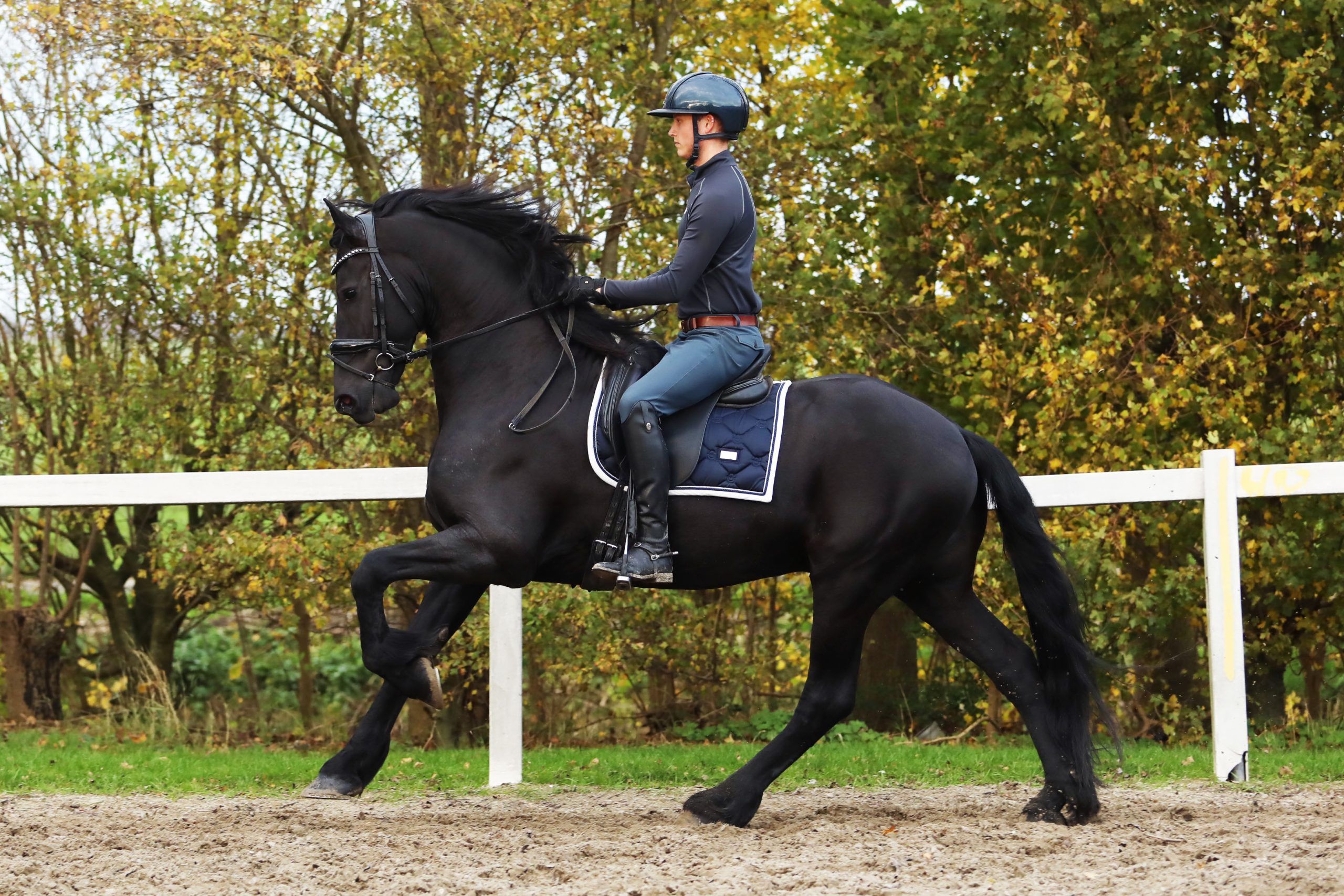 Hitzer - Image 12