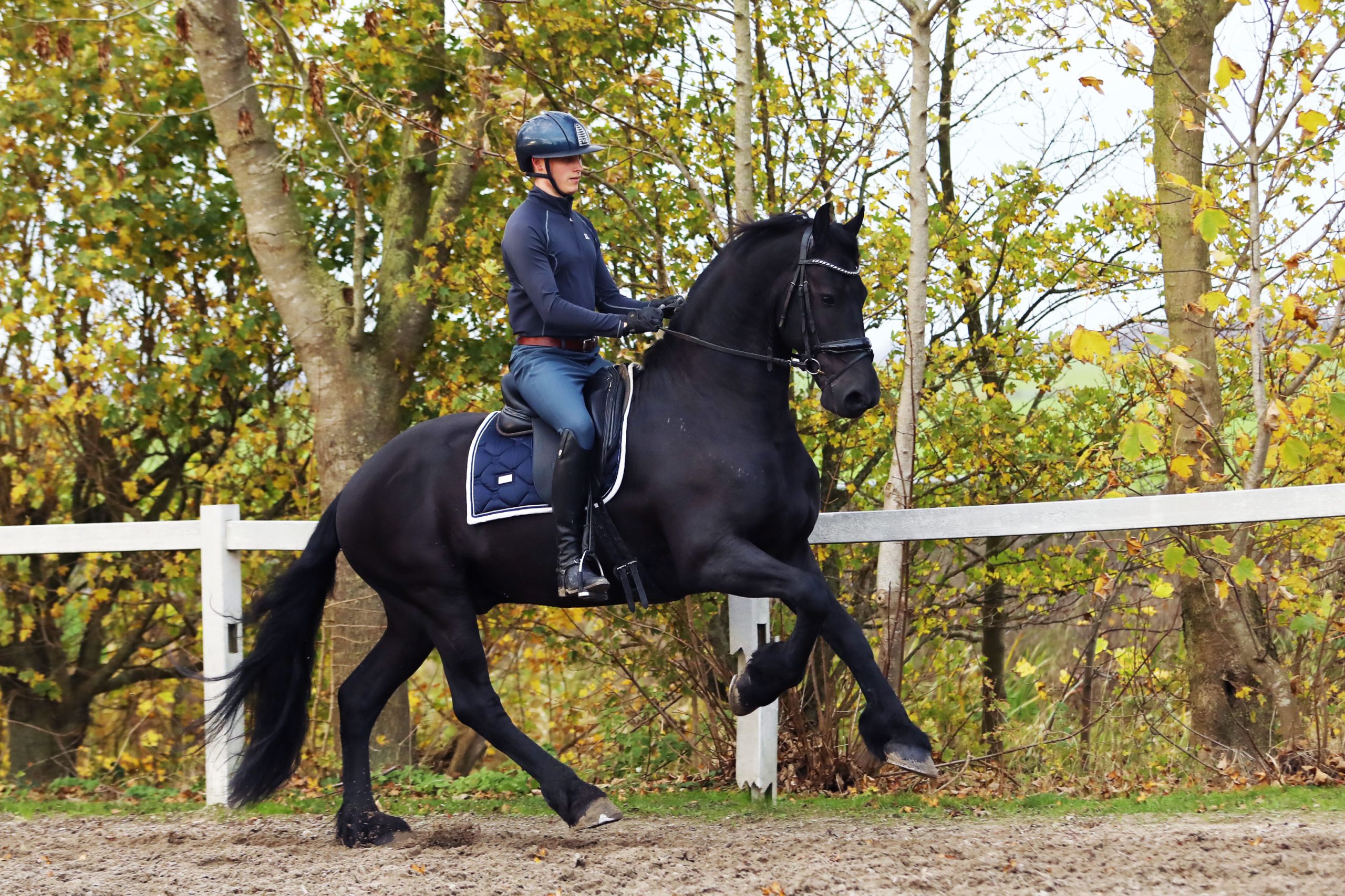 Hitzer - Image 13