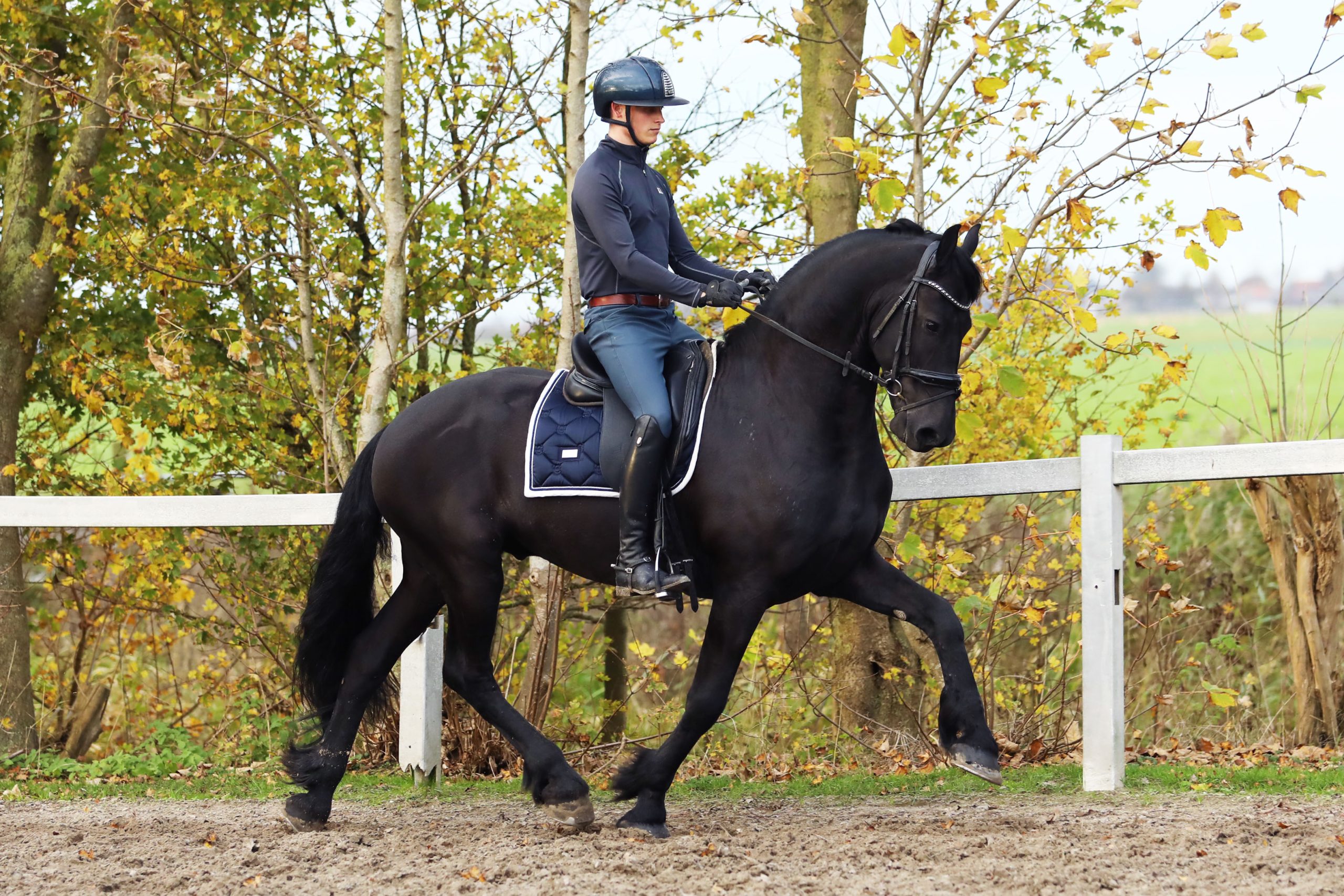 Hitzer - Image 10
