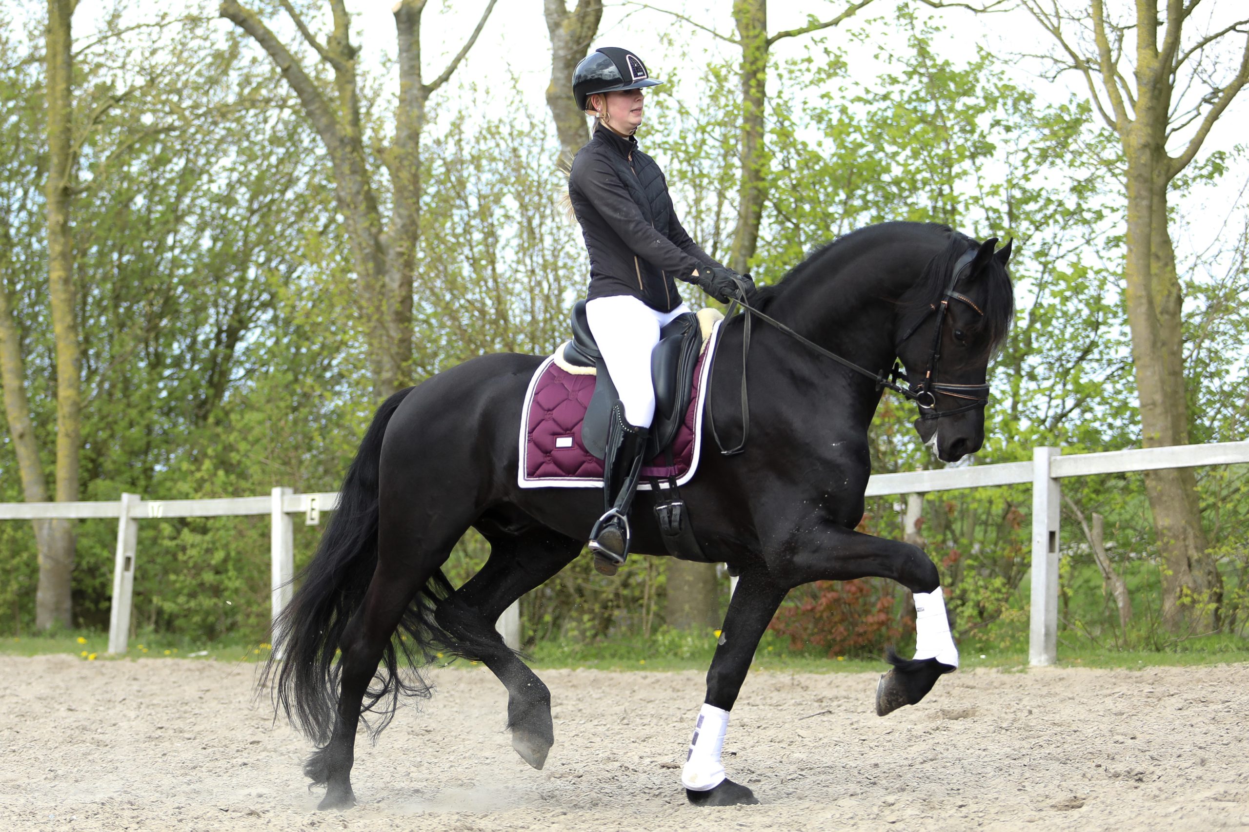 Vito - Image 16