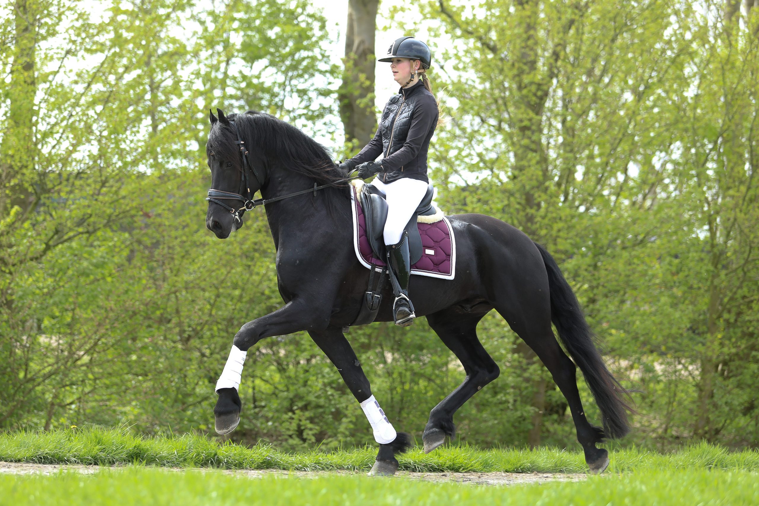 Vito - Image 19