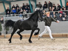 Yko