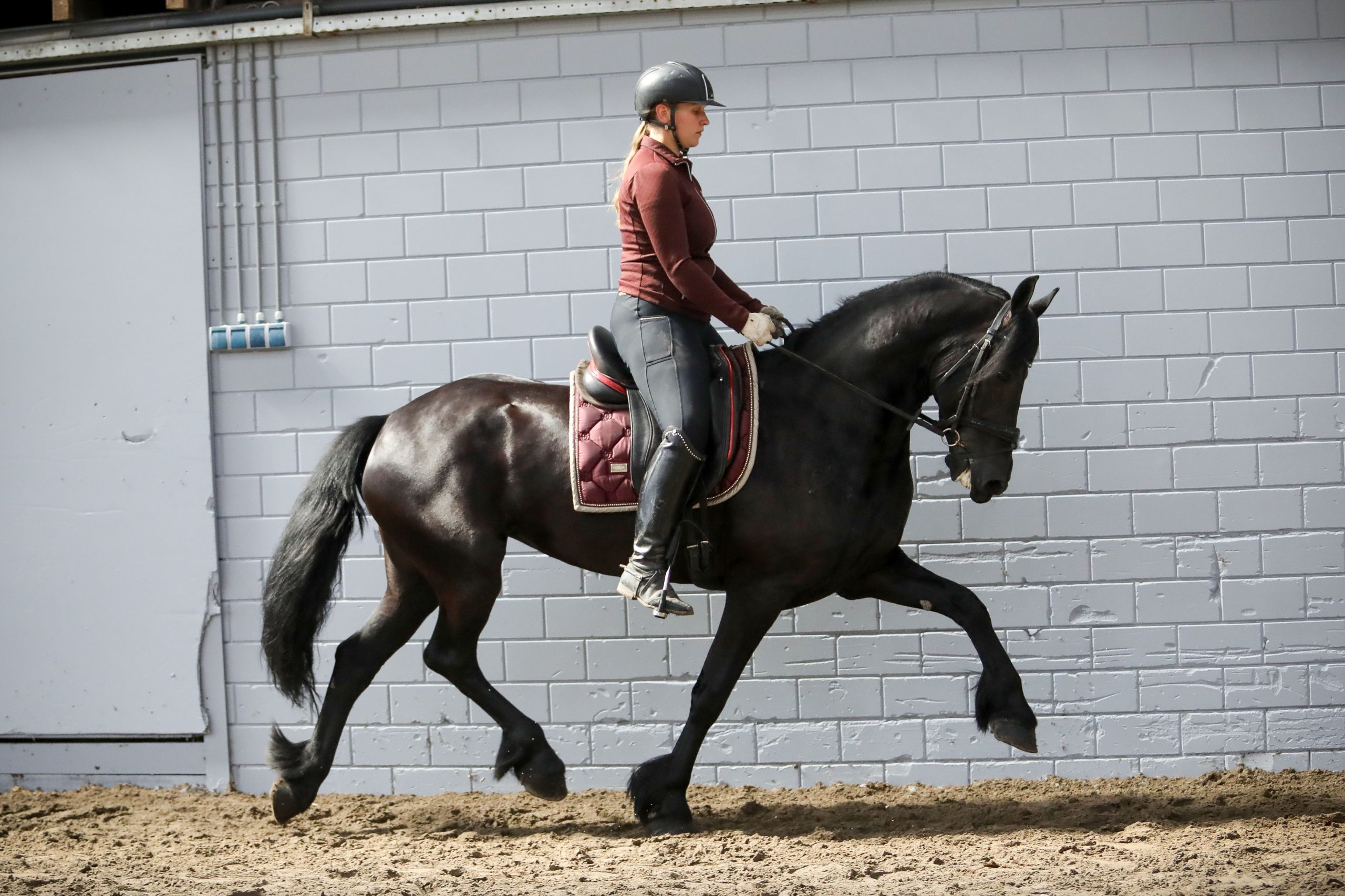 Marga - Afbeelding 14