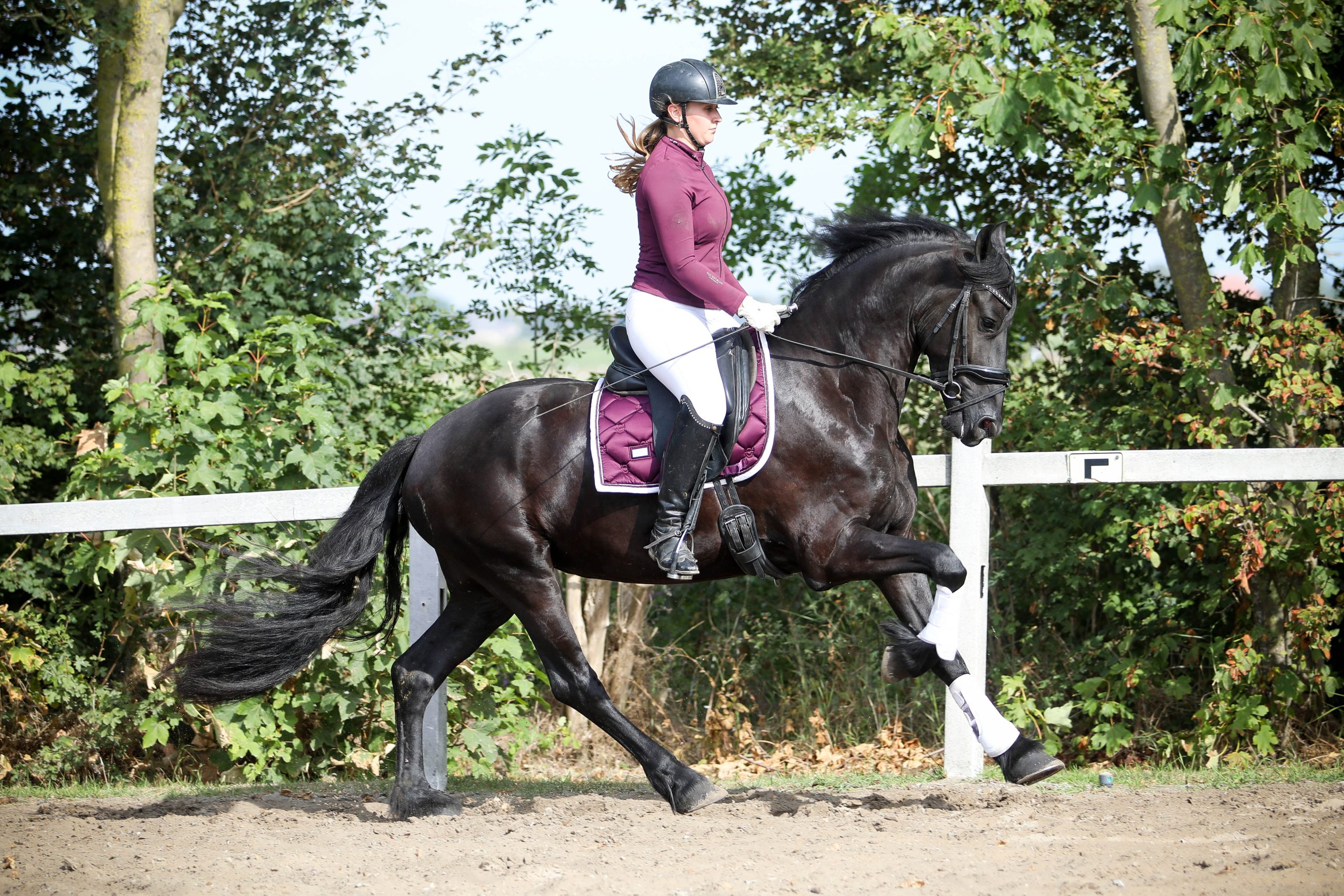Zenna - Image 11