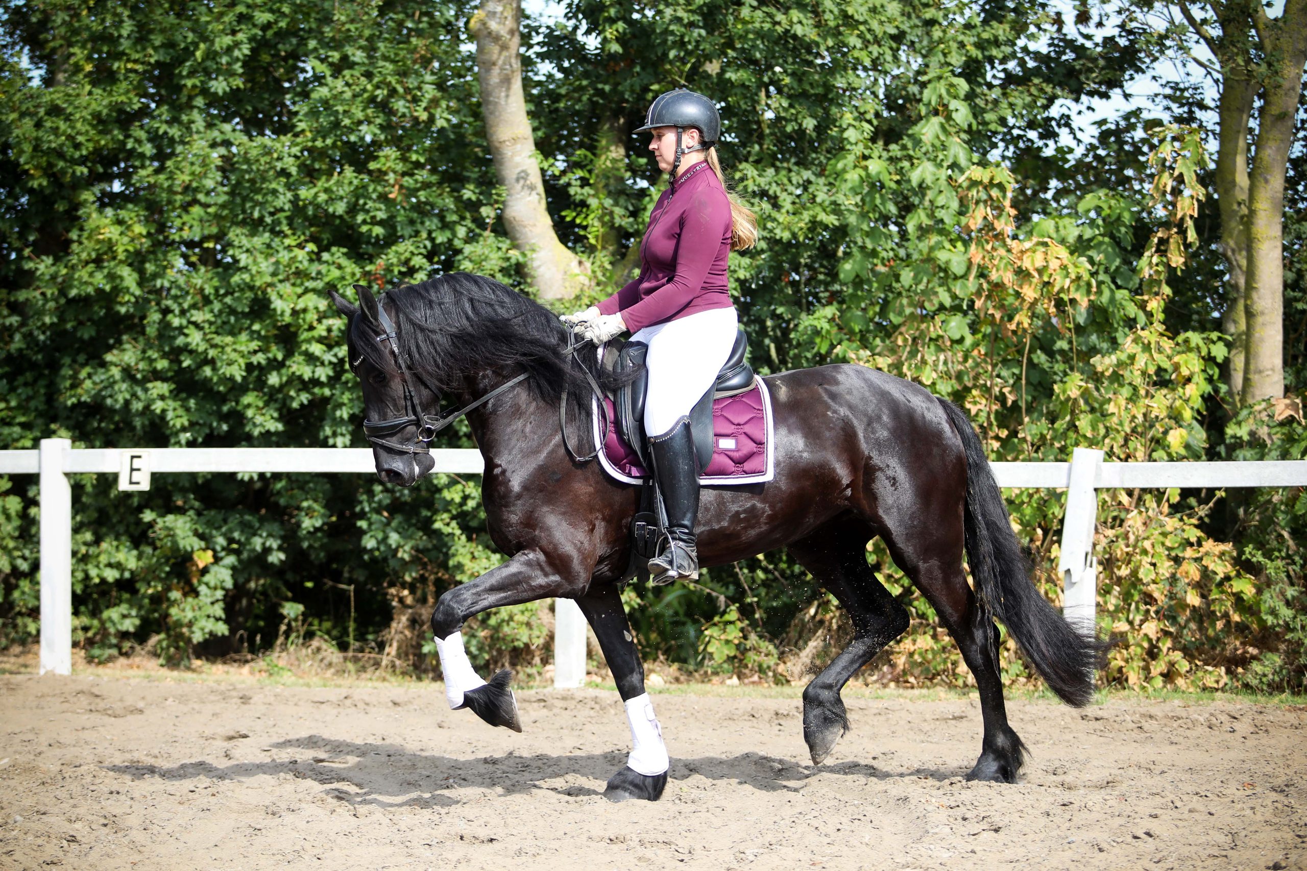 Zenna - Image 16
