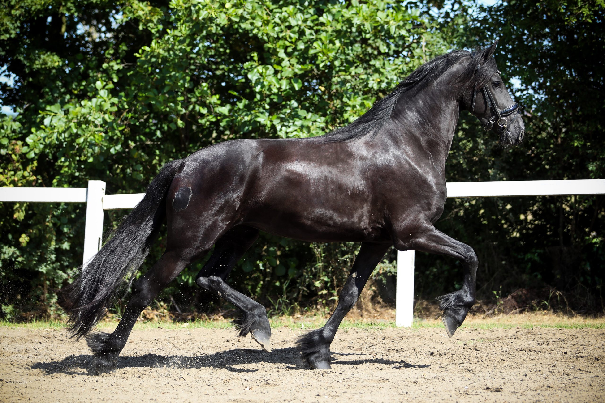 Zenna - Image 6