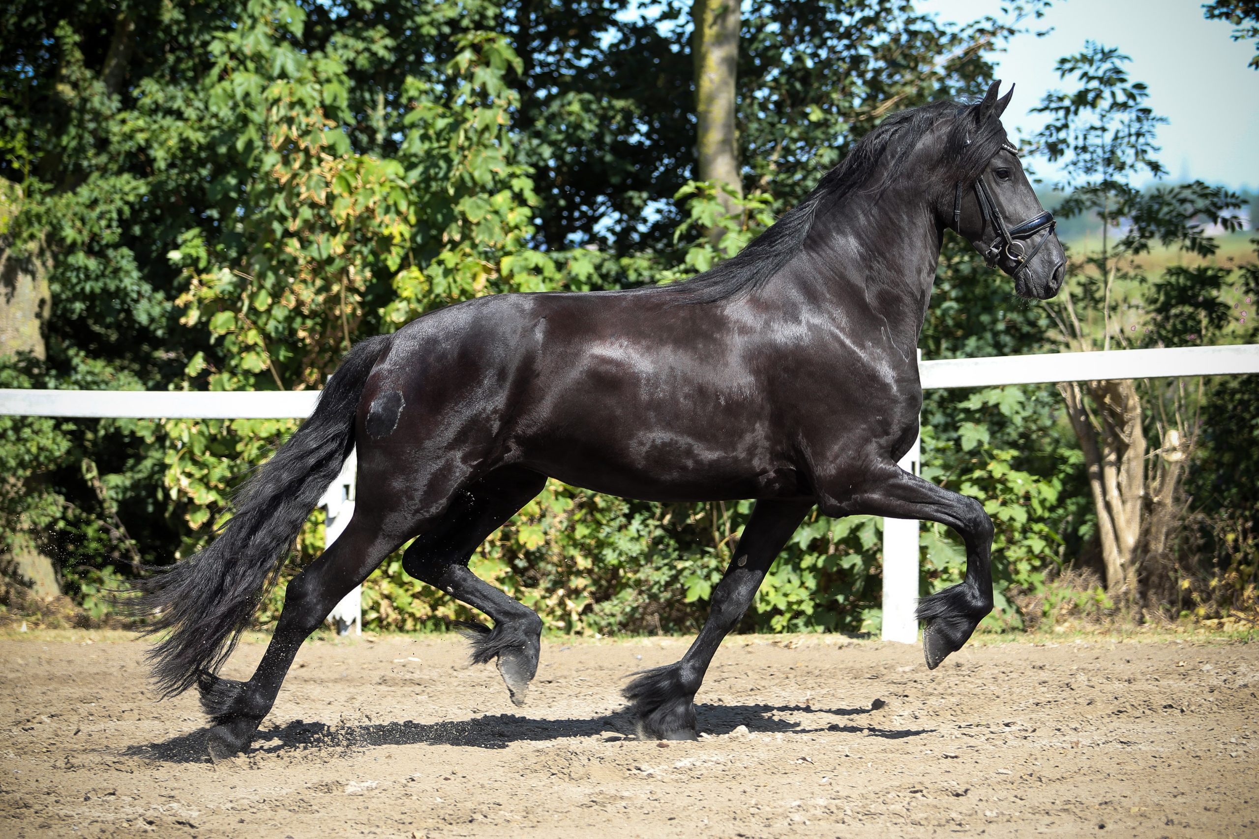 Zenna - Image 7
