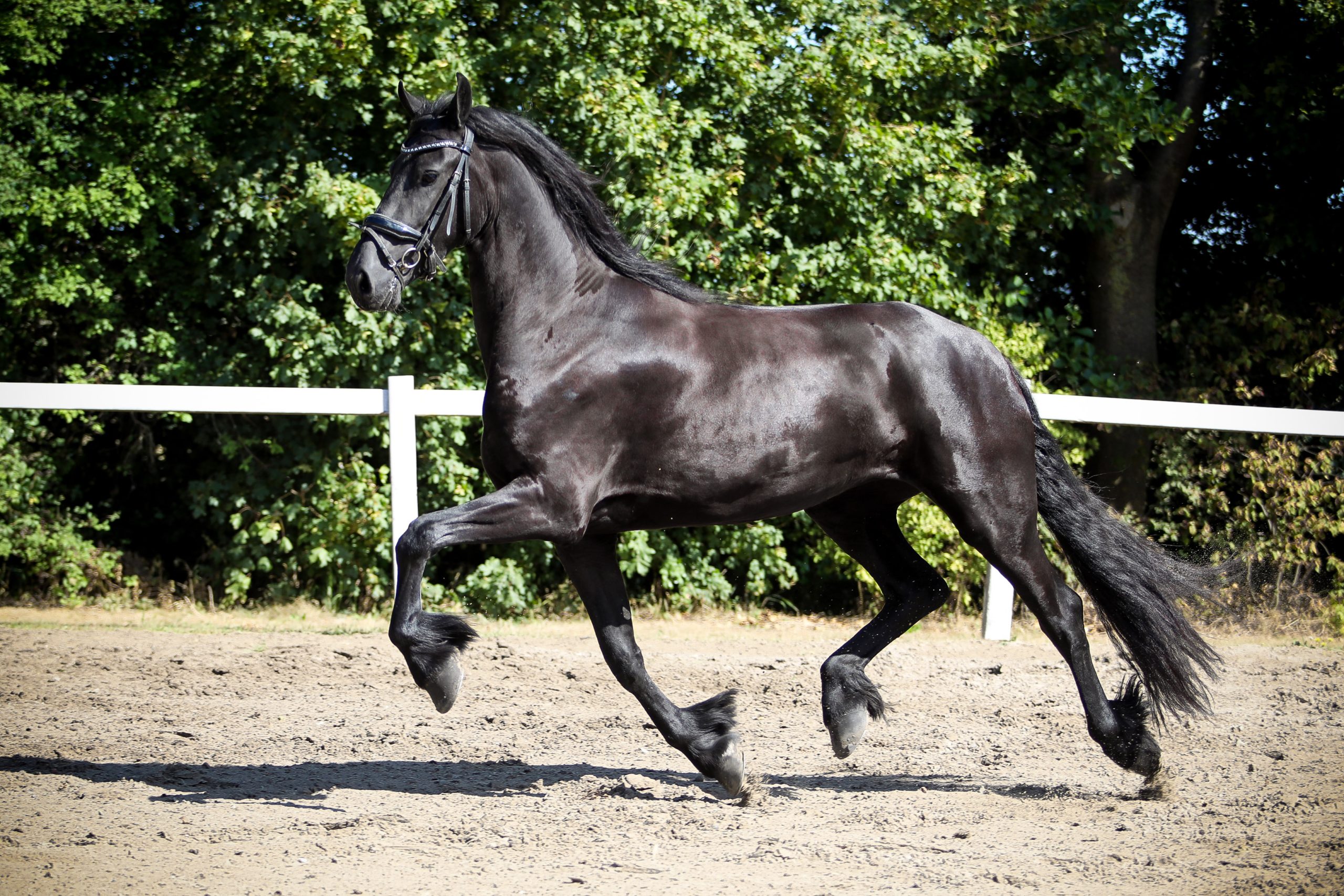 Zenna - Image 8