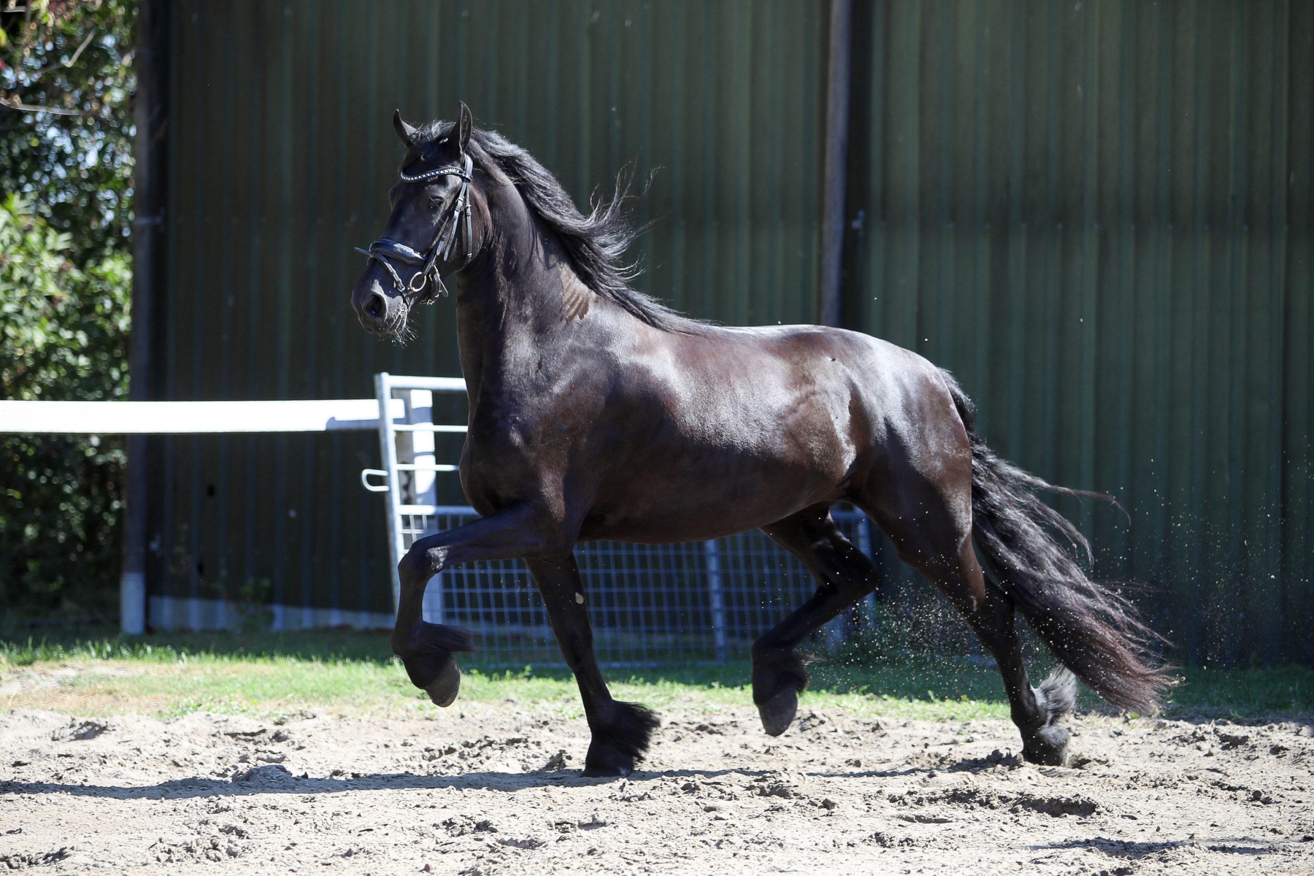 Zenna - Image 9