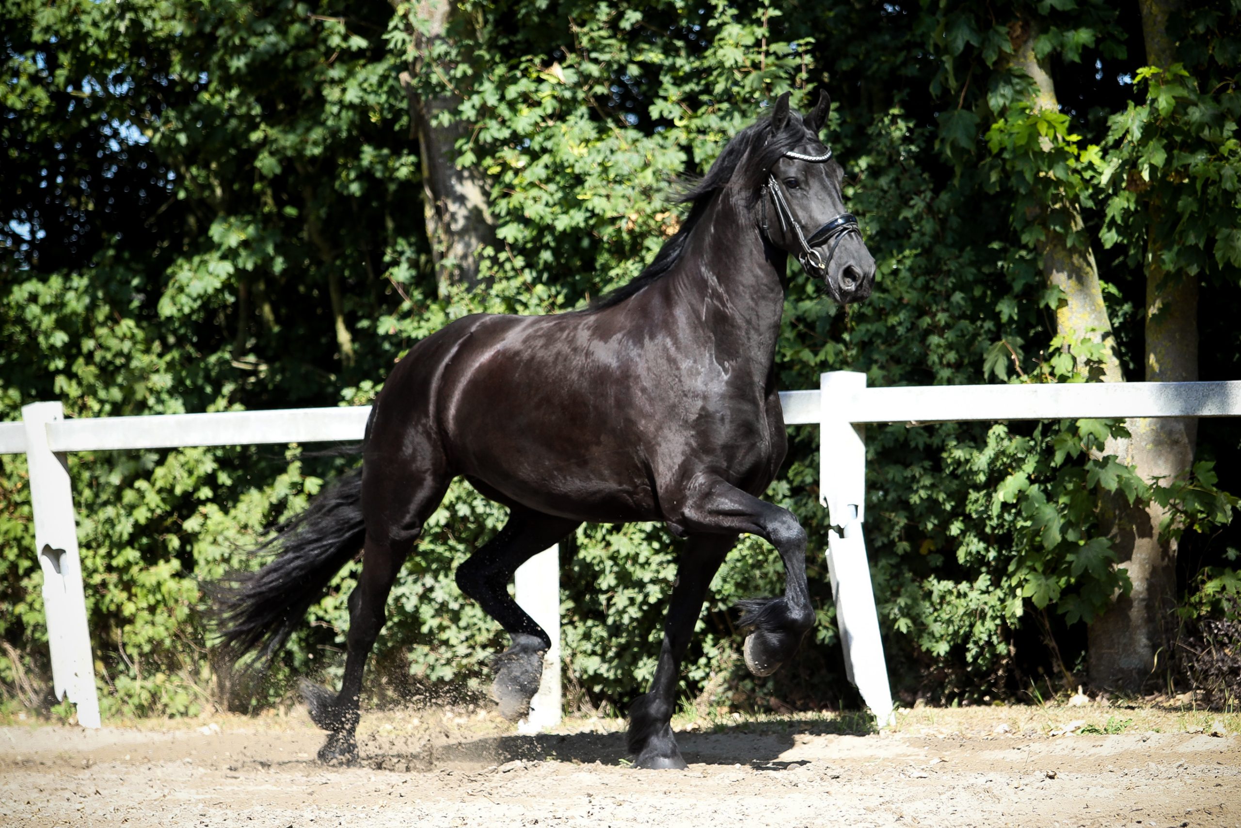 Zenna - Image 10